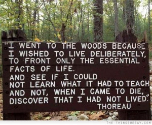 went to the woods because I wished to live deliberately to front ...