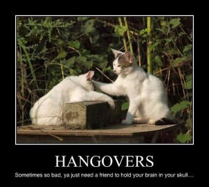 are hangover just like people in some ways our best pets are hangover ...