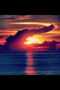 another reason God's a Florida Gator More