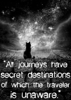 All journeys have secret destinations of which the traveler is unaware ...