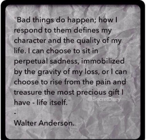 Walter Anderson Quotes
