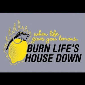 burn life's house down