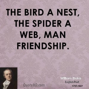 Spider Web Quotes