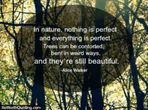 Perfection Quotes The Tree