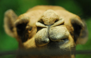 Bonus Pics (Necessary)