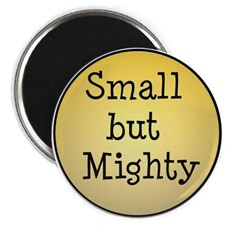 small but mighty Magnet for