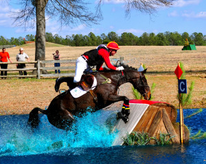 go eventing categories eventing nation random tent pegging s tuesday