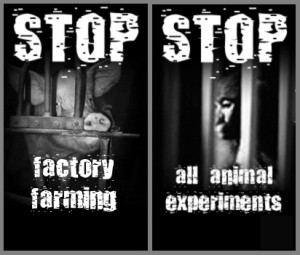 Stop Animal Cruelty Quotes. Secretly Film Animal Abuse