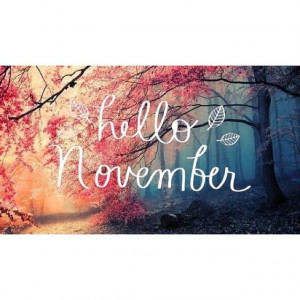 Hello November* (My birthday month!)