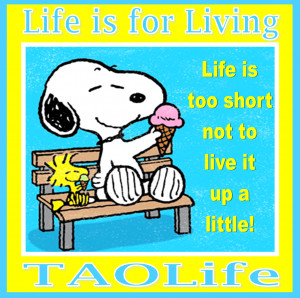 Poster> Life is too short not to live it up a little. #Snoopy #quote ...