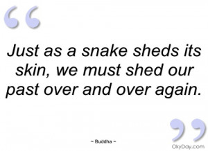just as a snake sheds its skin buddha