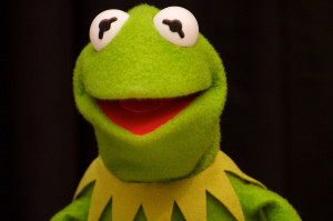 Kermit The Frog Funny Quotes