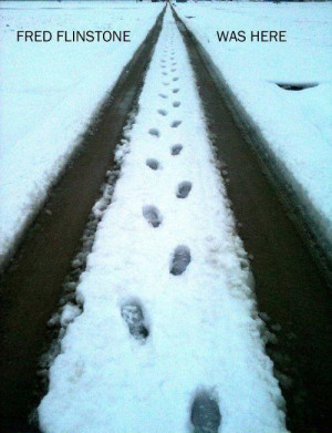 Objavio/la Ante Babaja u 10:02 PM