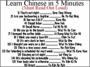 Learn Chinese in 5 Minutes Joke