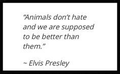 elvis presley quote more favorite quotes advice elvis presley quotes ...