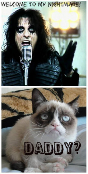 Taylor Swift Grumpy Cat Memes