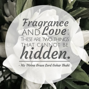 Fragrance and love: these are two things that cannot be hidden ...