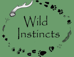 Instincts Welcome to wild instincts