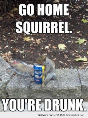 squirrel animal holding beer can go home drunk funny pics pictures pic ...