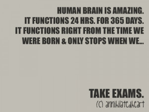 Human Brain Is Amazing. | Funny Quote