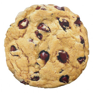 Chocolate Chip Cookie Round Pillow