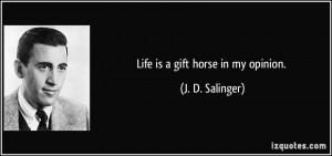 Life is a gift horse in my opinion. - J. D. Salinger