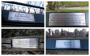 Central Park Recycled...