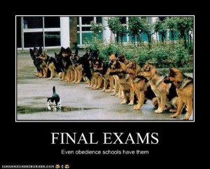 Funny College Final Exam Quotes Funny college .