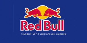 Red Bull GmbH Success Story