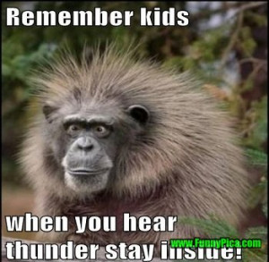 Funny Wild Animals 26