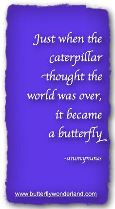 Butterfly Poems & Quotes