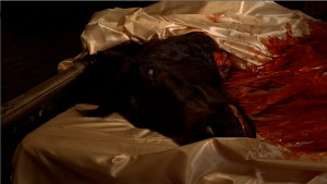 godfather-horse-head-prop