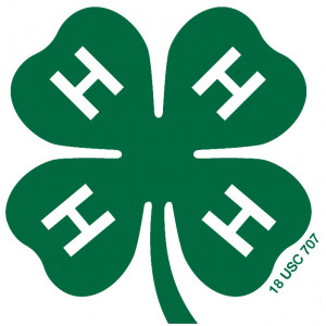 Please see guidelines for Using the 4-H Name and Emblem .