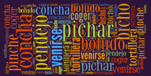 Spanish-Slang-Words-copy-e1352645500165.png