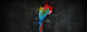 Color Splash Love Quotes Parrot color splash facebook