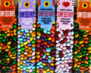 Chocolate covered sunflower seeds