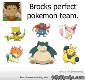 Pokemon team just for Brock