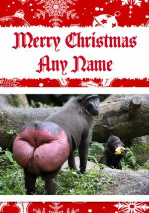 Use this box if you wish to leave us a note with any additional ...