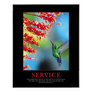 Service Hummingbird Motivational Poster (732547)