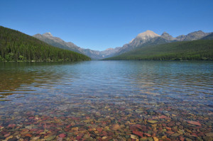 Bowman Lake, Glacier National Park, MT