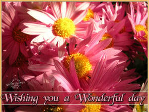 Wishing You a Wonderful Day ~ Good Day Quote