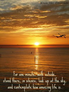Saturday morning sunrise from the Florida Keys. #quotes #sunrise