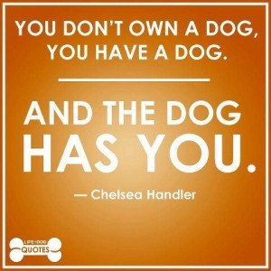 Chelsea Handler quotes
