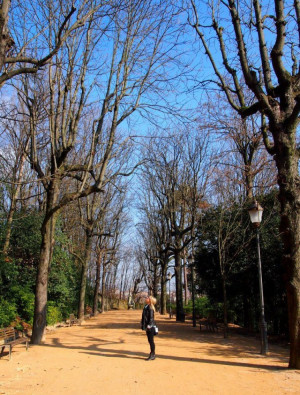 Advice From A Tree Stand Tall And Proud