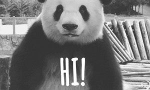 asdfghjklç* | via Tumblr