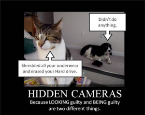 href=http://www.blogger.com/profile/17163930598784445612>your husband ...