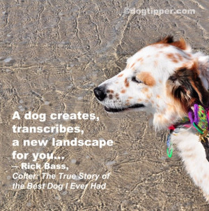 Famous Dog Quotes Dogtipper