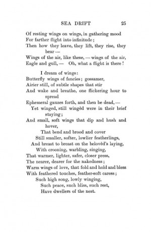 Sea drift - wicked poem!