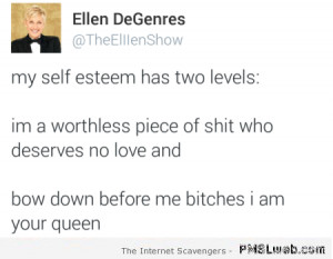 My self esteem has 2 levels funny quote | PMSLweb