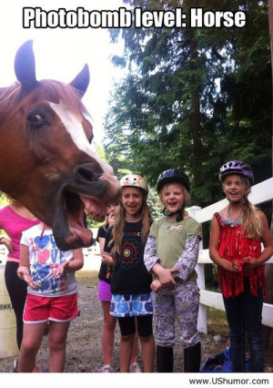 Horse photobomb picture US Humor - Funny pictures, Quotes, Pics, Ph...